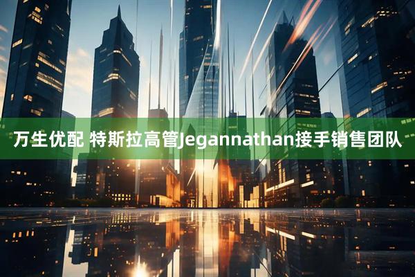 万生优配 特斯拉高管Jegannathan接手销售团队