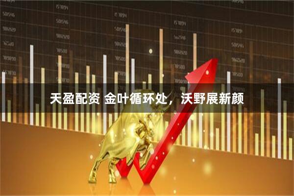天盈配资 金叶循环处，沃野展新颜